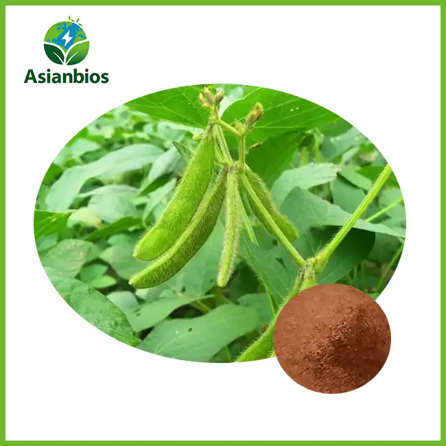 Fermented Soybean Powder Fermented Soybean Powder